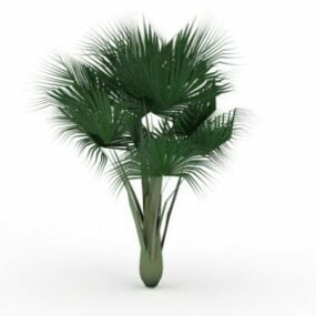 Model 3D palmy kokosowej morskiej