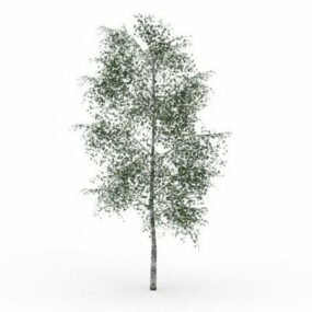 Graues Birkenbaum-3D-Modell