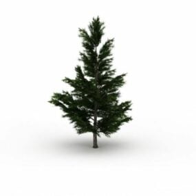 דגם 3D Spruce Tree