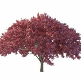 Modelo 3d de árvore florescendo roxa