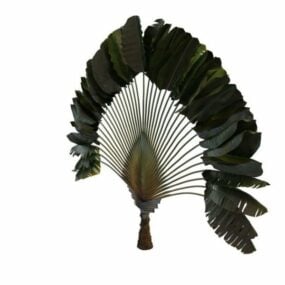 Model 3D palmy Ravenala