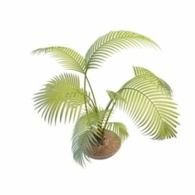 Potted Palm Tree Plants 3d-modell