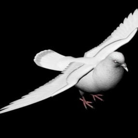3D-Modell der weißen Taube