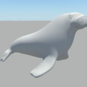 Model 3D bezusznej foki