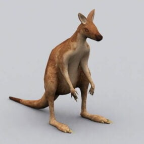 3д модель красного кенгуру
