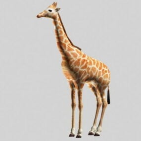 Linda girafa modelo 3d