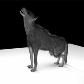 Black Wolf Rig 3d model