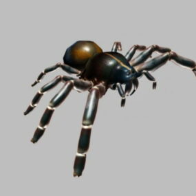 Mô hình 3d nhện đen