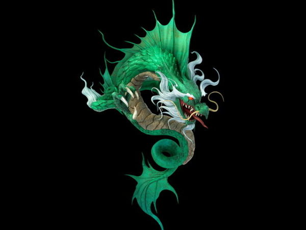 Japanese Water Dragon