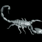 Sort skorpion