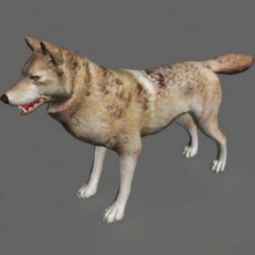 3D model červeného vlka