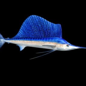نموذج سمك أبو سيف الأزرق ثلاثي الأبعاد