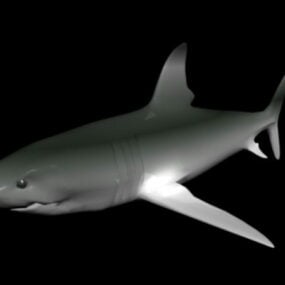Bull Shark 3d-malli