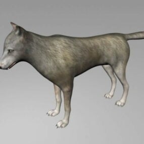 3d модель сірого вовка