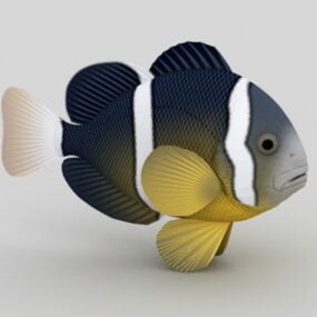 Striped Tropical Fish 3d model