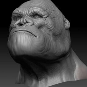 Modello 3d della testa di King Kong