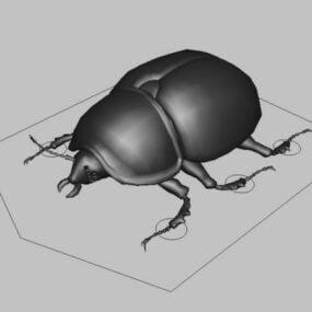 Modelo 3d de equipamento de besouro preto