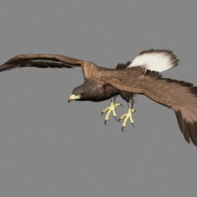 Modelo 3d de animação de águia dourada