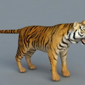 3d модель бенгальського тигра
