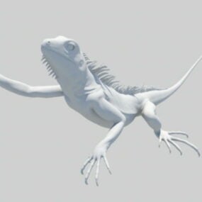 Lizard Animal 3d model
