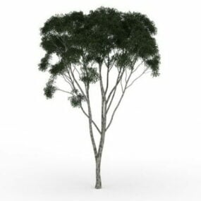 イチジクの木の3Dモデル