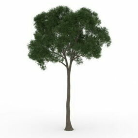 3d модель маленького хвойного дерева