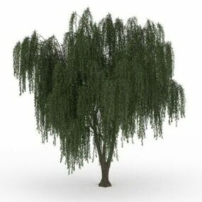 Weeping Willow Tree 3d-malli