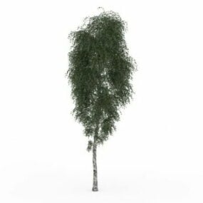مدل سه بعدی درخت خاکستر کوچک
