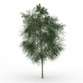 مدل سه بعدی درخت خاکستر اورگان