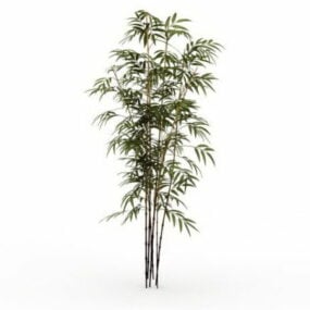 Bamboo Plants 3d-modell