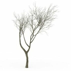 光秃秃的树3d模型