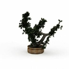 نموذج شجرة بونساي ثلاثي الأبعاد