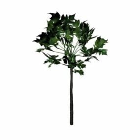 Carica Papaya Ağacı 3d modeli