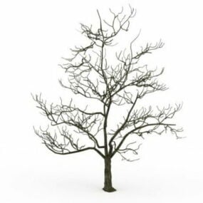 Model 3d Pohon Tua Di Musim Dingin