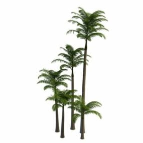 Alexander Palm Trees 3d-modell