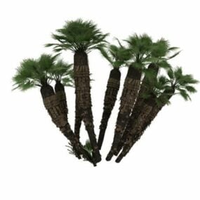 3D model středomořské trpasličí palmy