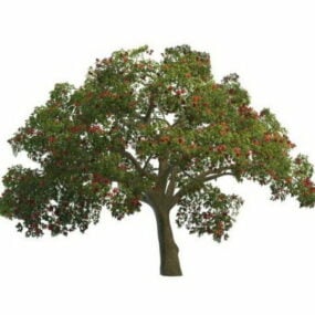 Model 3D letniego drzewa kwitnącego