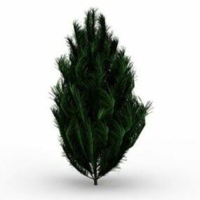Modelo 3d da árvore Pinus Patula