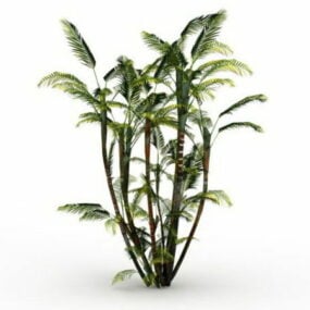 Planta de palmera mariposa modelo 3d