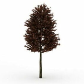 Red Pine Tree 3d-modell