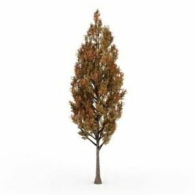 चिनार का पेड़ पतझड़ के रंग का 3डी मॉडल है