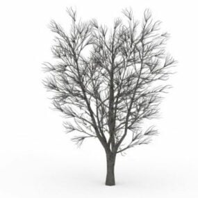 עץ בוקיצה חשוף בחורף דגם תלת מימד