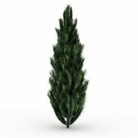 Cypress Tree 3d model