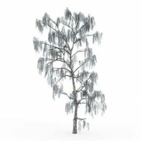 Snow Covered Birch Tree 3d model