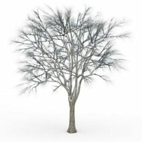 Snow Ginkgo Tree 3d model