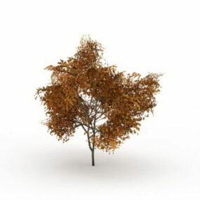 Modello 3d dell'albero di Tilia giallo
