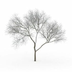 3д модель голого дерева, покрытого снегом