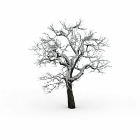 The Old Tree In Winter 3d model