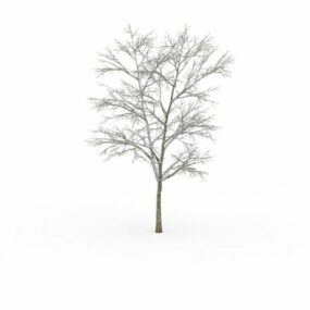 3д модель Снежного Дерева