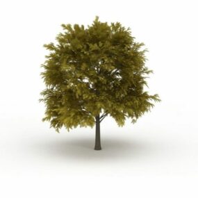 Pohon Ek Di Musim Panas model 3d